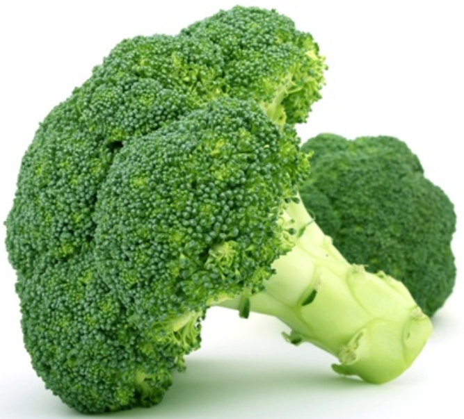 브로콜리 추출물