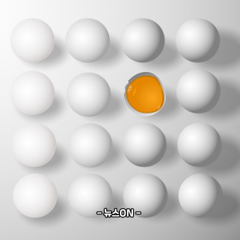 알부민 많은 음식