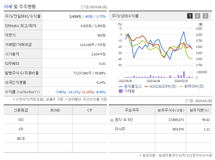 원익홀딩스_기업개요