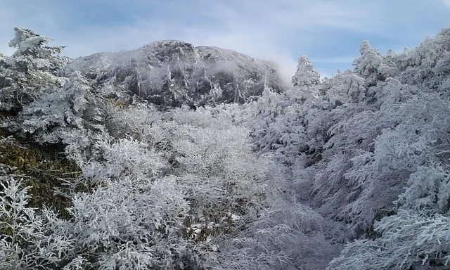 한라산 탐방로예약 시스템 등산 코스_5