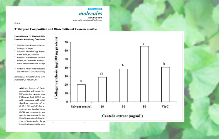 병풀 콜라겐은 콜라겐 합성을 촉진시키며 비타민 C보다 더 큰 효과를 보입니다.