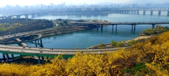 서울숲~응봉산 도보 코스 – 강변과 숲, 야경을 함께 걷는 길