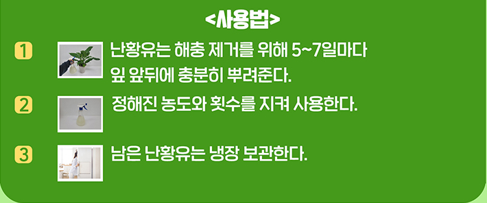 실내식물 튼튼하게 기르는 법