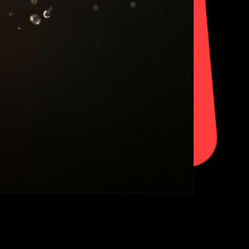 홍성남당항 대하축제