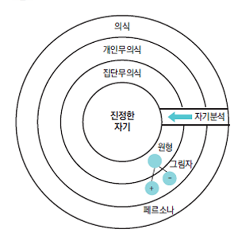 분석심리학