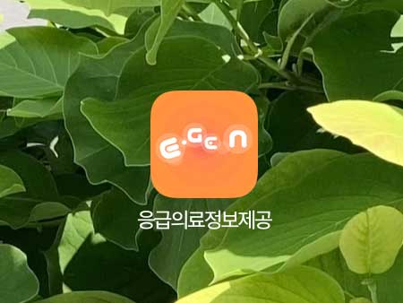 설연휴 내 주변 문여는 병원 약국 찾기, 명절병원