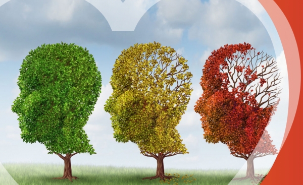 치매 초기 증상 8가지 단계별 특징 치매 예방 두뇌운동 치료 방법