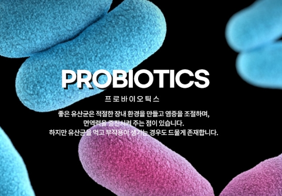 50대 장 건강 개선법과 식단, 유산균보다 더 중요한 건?