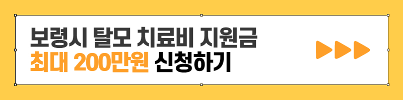 보령시탈모치료비지원금신청