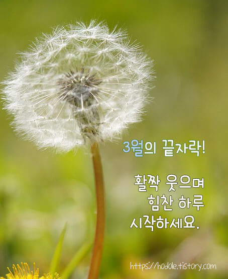 삼월-끝