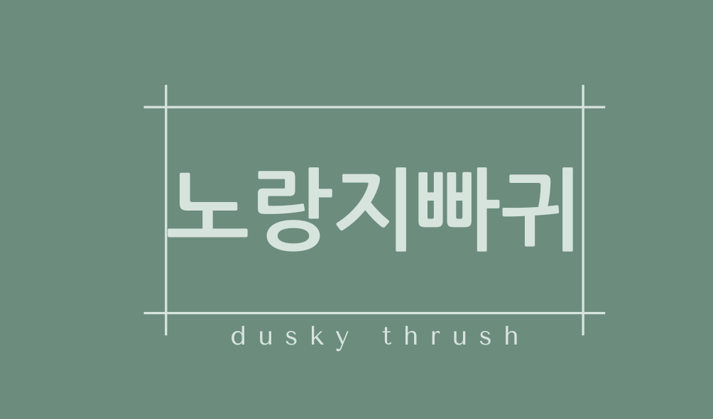 노랑지빠귀(dusky thrush)