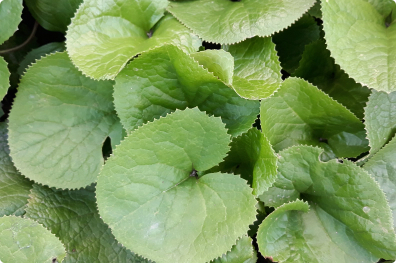 전국 축제 일정