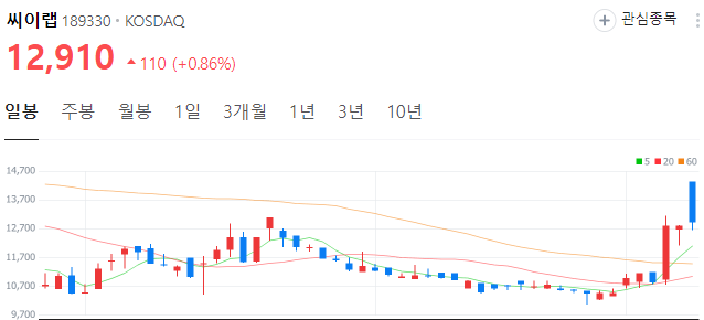 보안-관련주-씨이랩-주가
