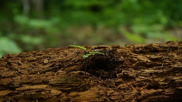 AI 기반 복원 성과 검증 시스템: 지속 모니터링과 국제 인증 연계