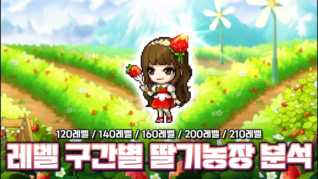 메이플 슈피겔라 황금 딸기농장 효율 극대화 실전 팁_1