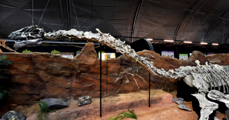 고성 공룡엑스포