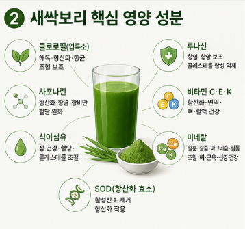 새싹보리-효능-먹는법-분말-가루-추천