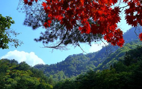 [2025 최신] 설악산 단풍 절정시기 완전공개! 실시간 단풍현황 &amp; 등산코스 BEST