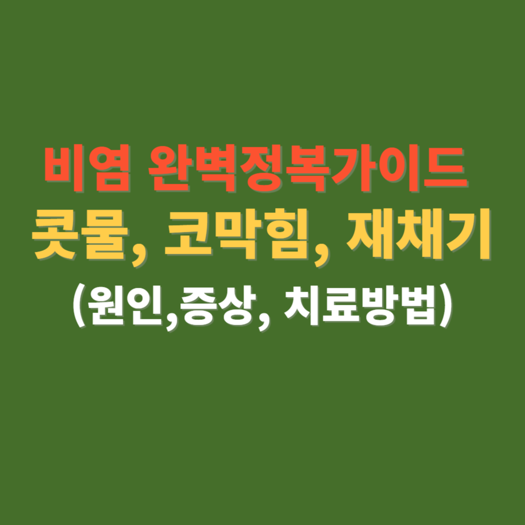 비염 원인 증상 치료방법