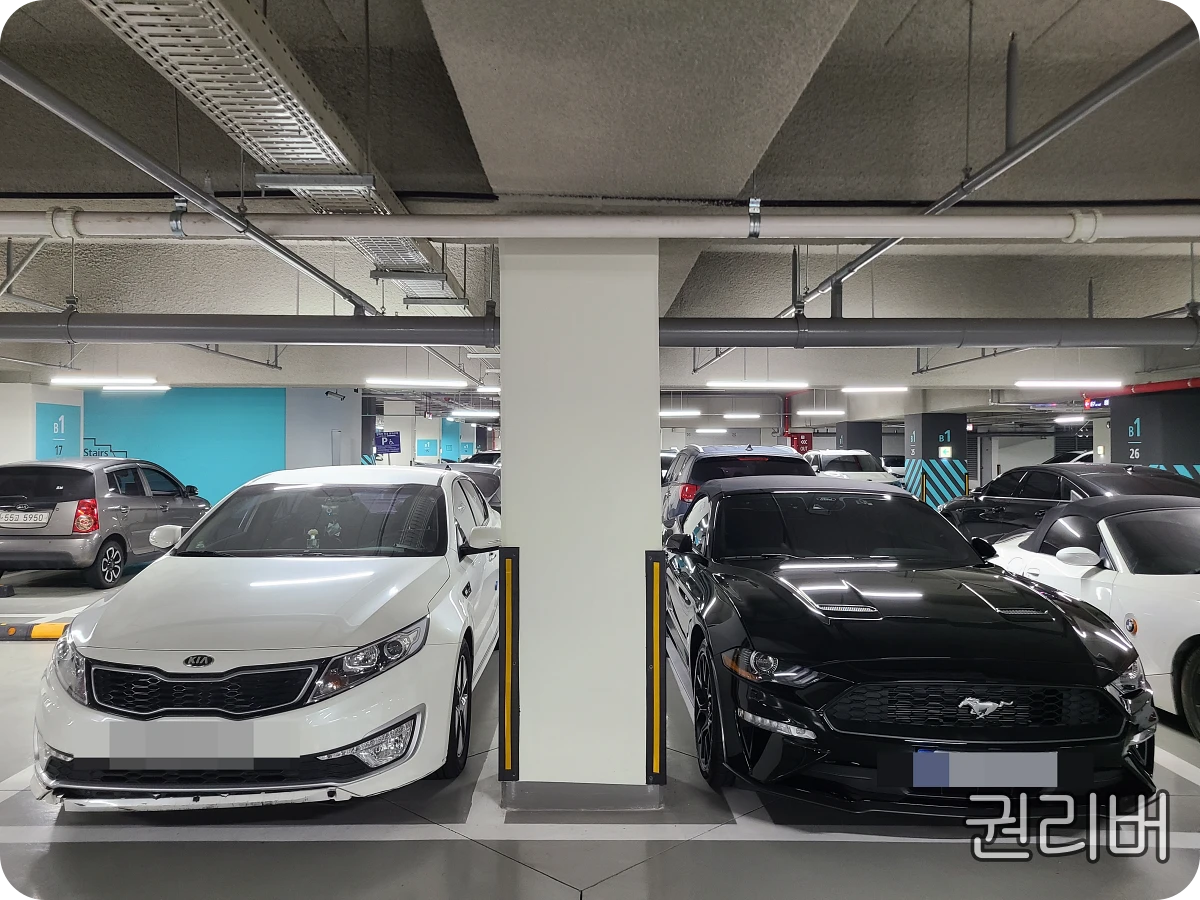 국산차-수입차-K5-머스탱