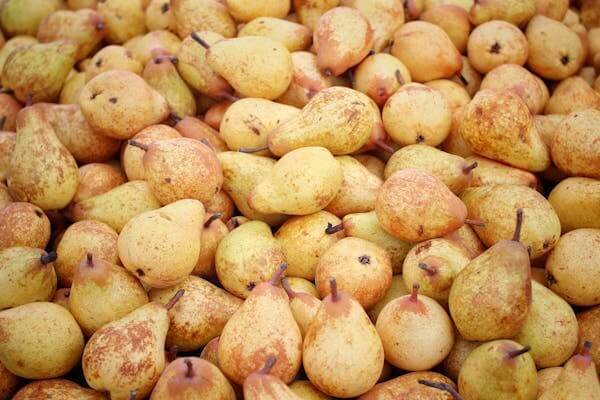 2025년농식품바우처