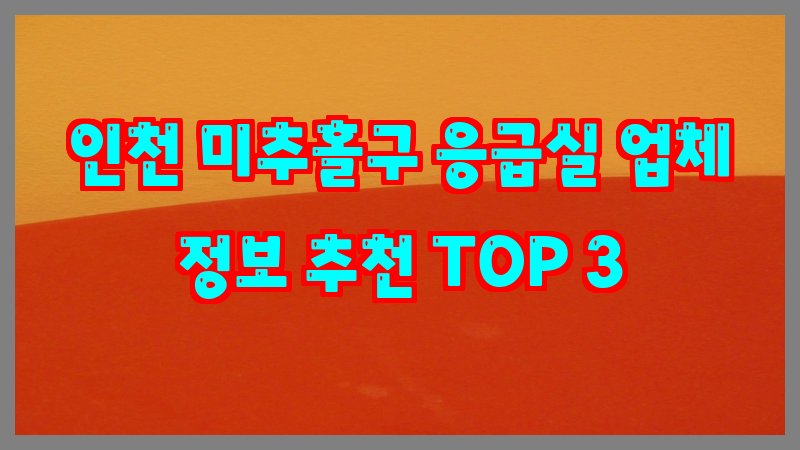 인천 미추홀구 응급실