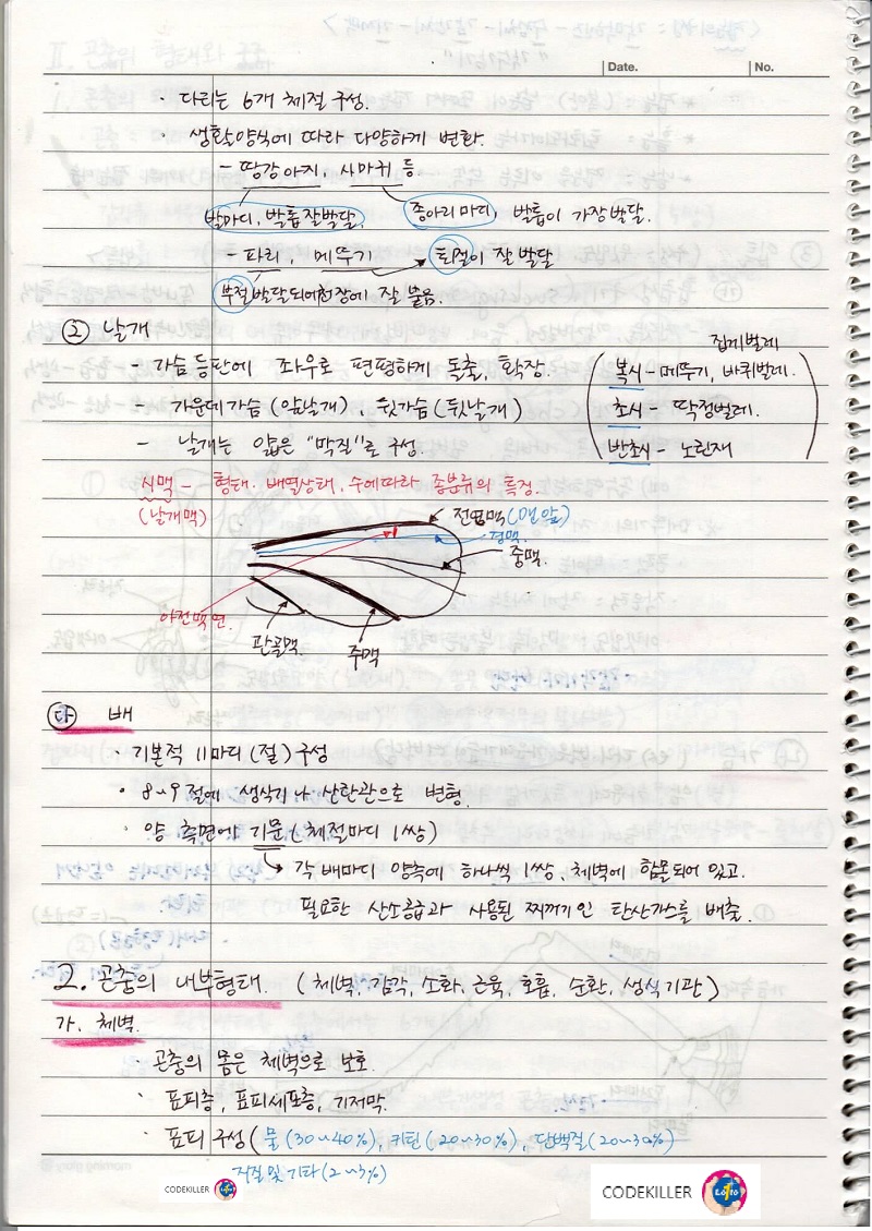 곤충의 외부형태 - 날개