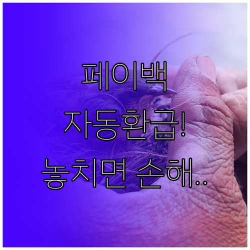 상생페이백 자동 환급과 현재의 소상공..