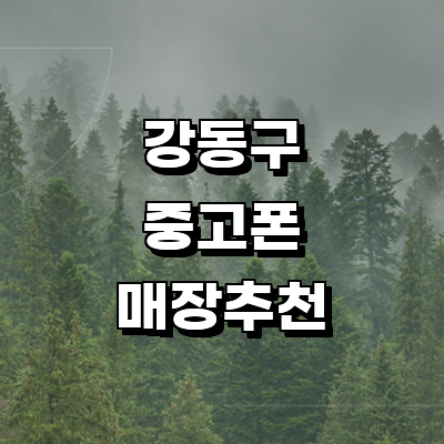 서울 강동구 중고폰