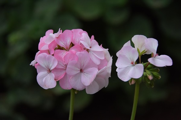 아이돌봄사 수입, 얼마나 벌 수 있을까? 현실적인 수익 가이드