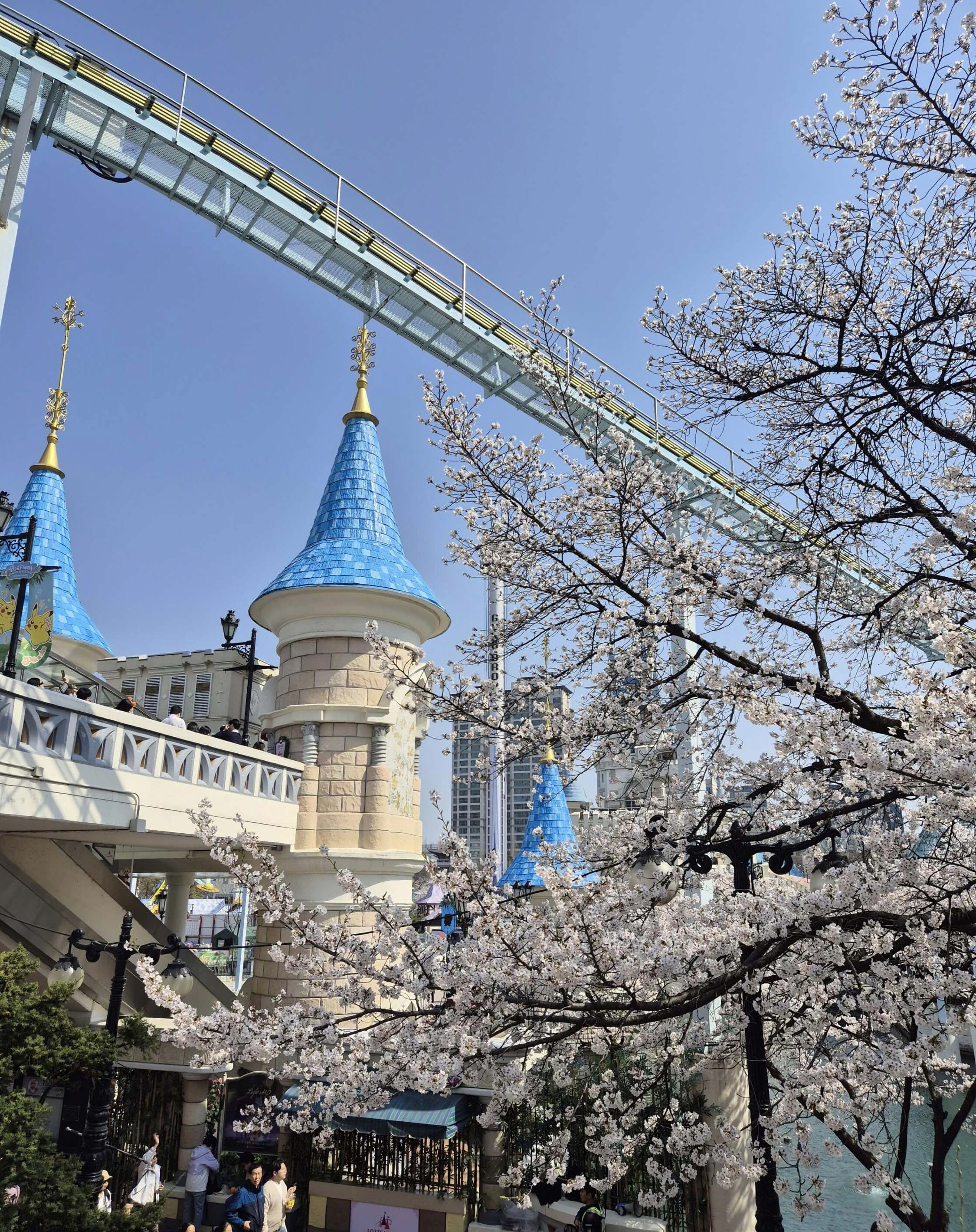 석촌호수 2025년 4월8일 만개한 사진