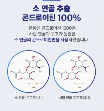 노인 무릎,관절 통증 완화엔 주영엔에스 관절엔 콘드로이친 1200 효능, 복용법, 후기 총정리