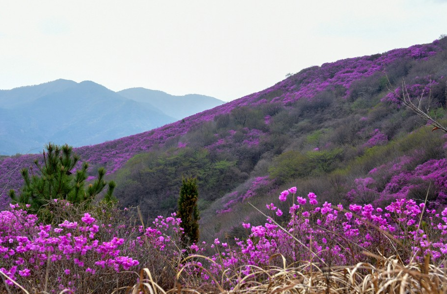 여수 가볼만한곳 베스트10