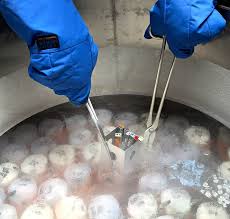 난자 정자 냉동