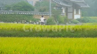 보슬비 부슬비 차이 궁금하시죠_14