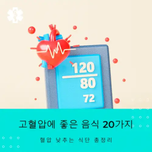 고혈압에 좋은 음식 20가지