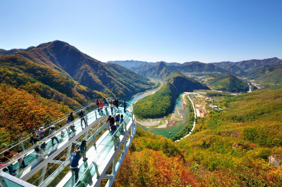 아리힐스 스카이워크-출처 정선군청