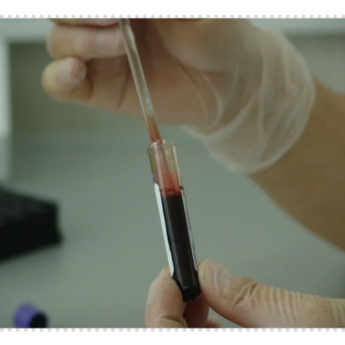 건강검진 대상자 조회 병원