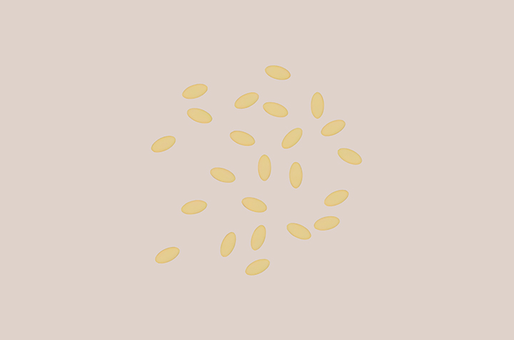 참깨-하루-섭취-권장량