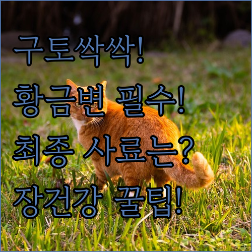 구토 멈추는 헤어볼 사료 추천 황금 ..