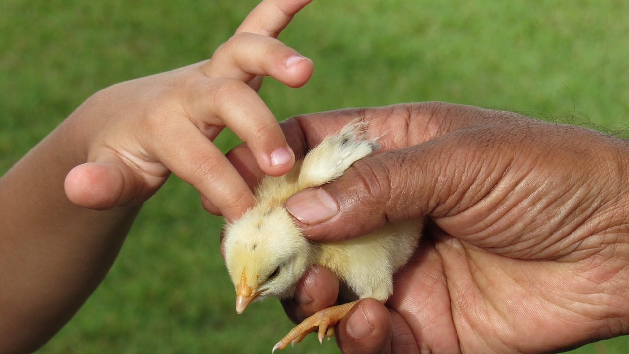 용인 둔전역 에피트