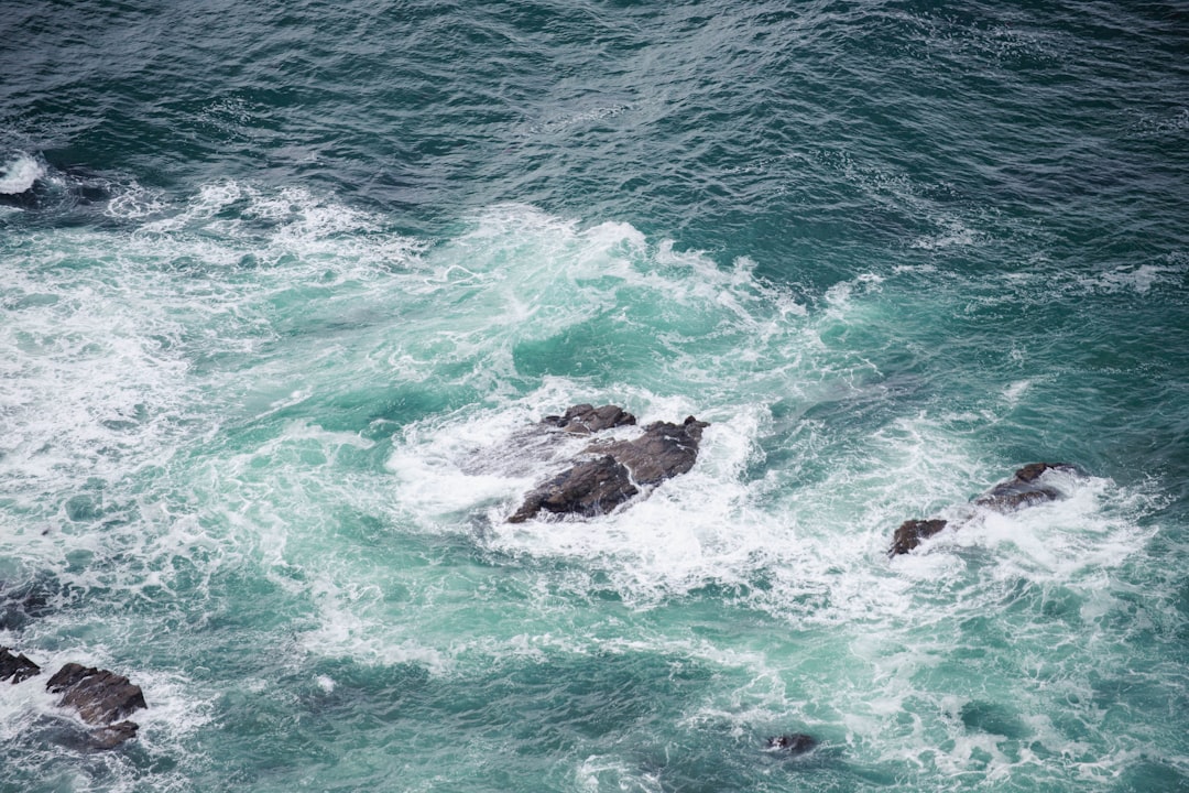 Korea Electric Power Corporation