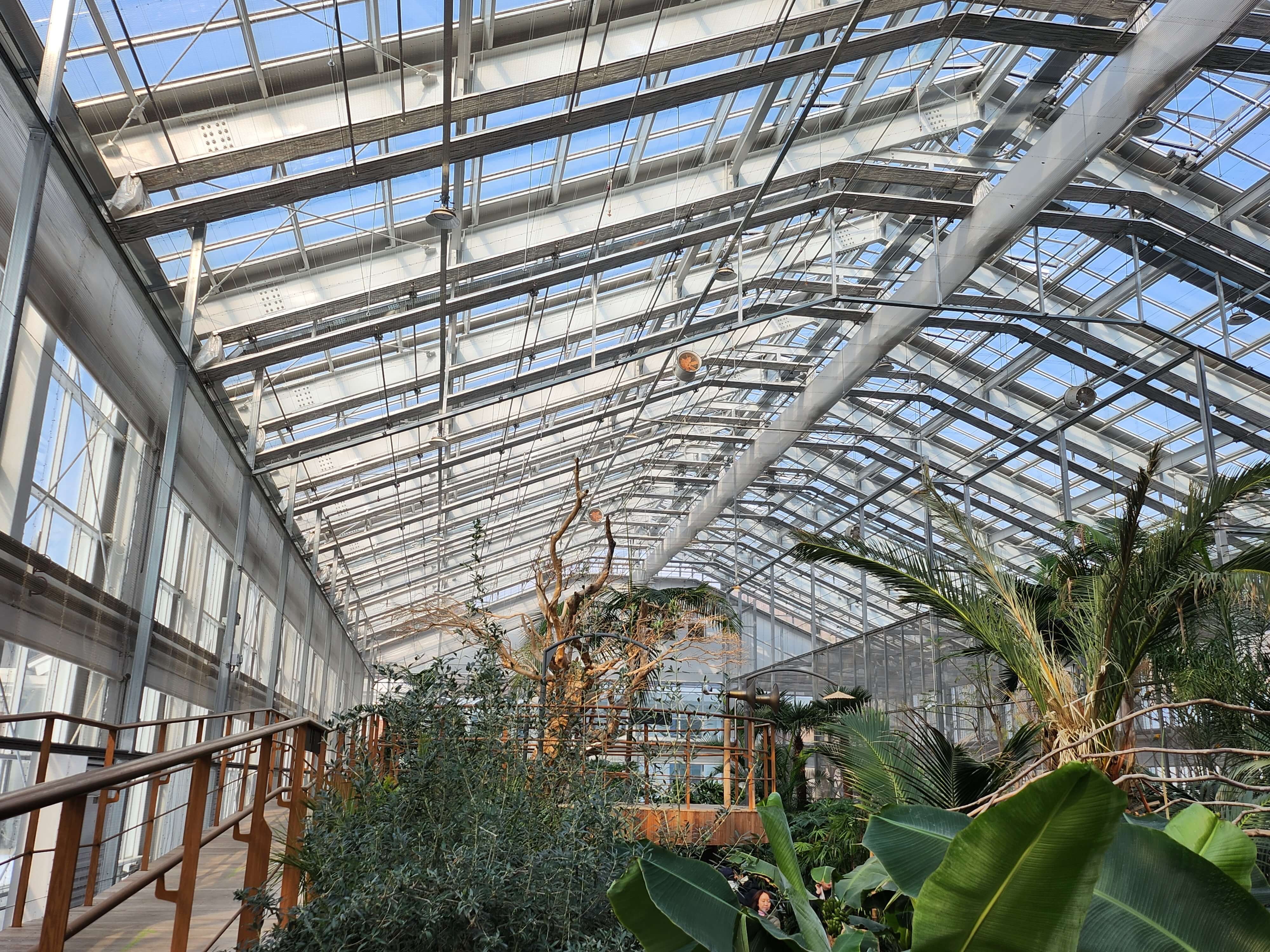 가평 베고니아 정원