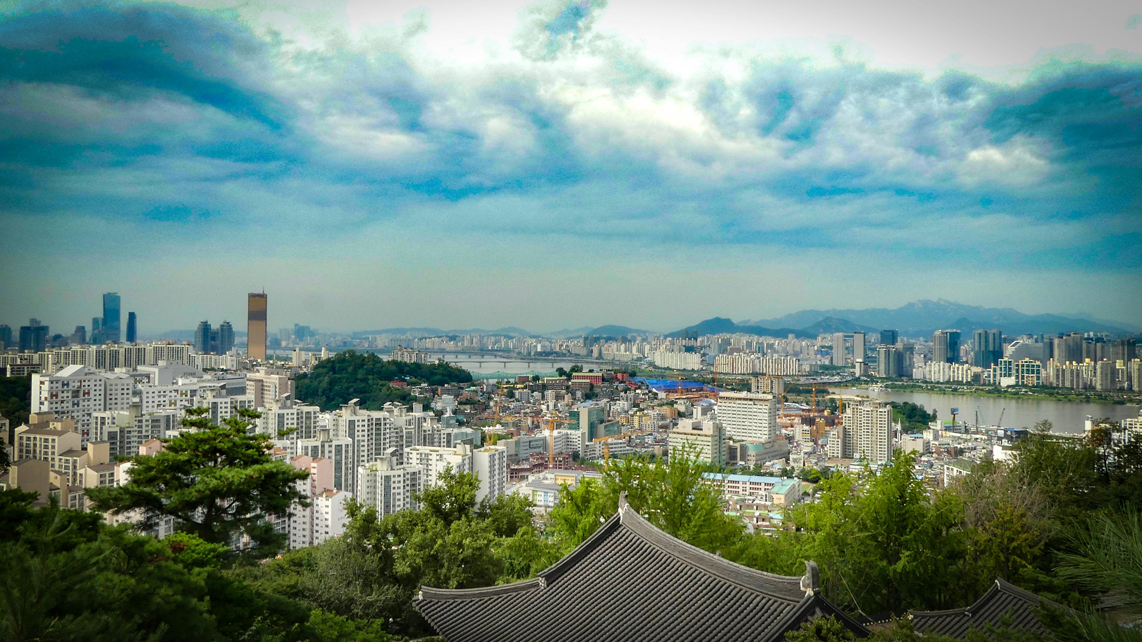 토지 거래 허가제 해제