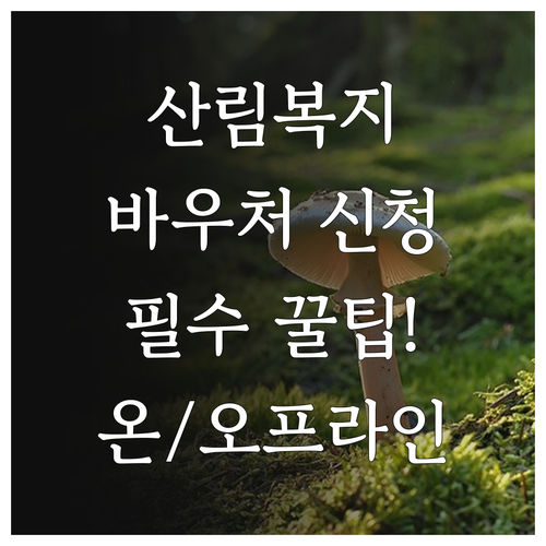 산림복지바우처 놓치지 않는 온라인 오..