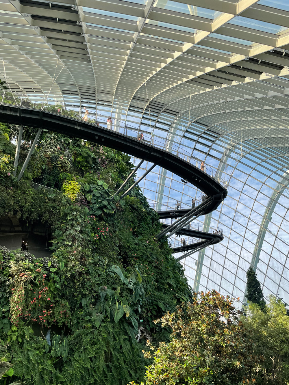 싱가포르 Cloud Forest 내부 시설물로 빙빙 돌아서 내려오는 사람들을 찍은 사진