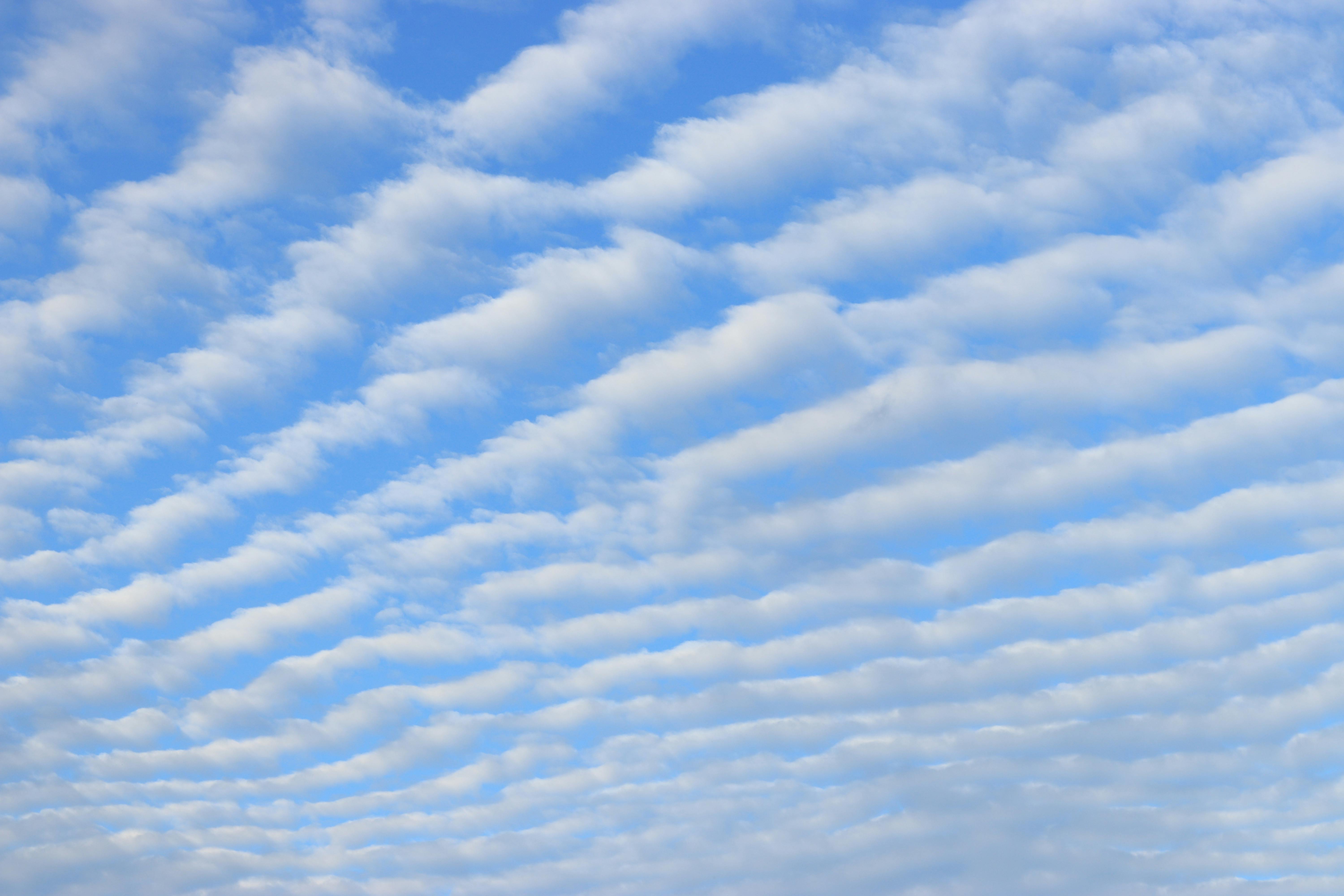 2025년 8월 19일 띠별 운세: 당신의 하루를 밝혀줄 길잡이:) 용띠&amp;#44;뱀띠&amp;#44; 말띠&amp;#44; 양띠