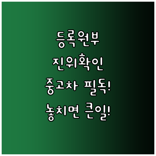 모바일 등록원부 진위 확인 및 중고차..