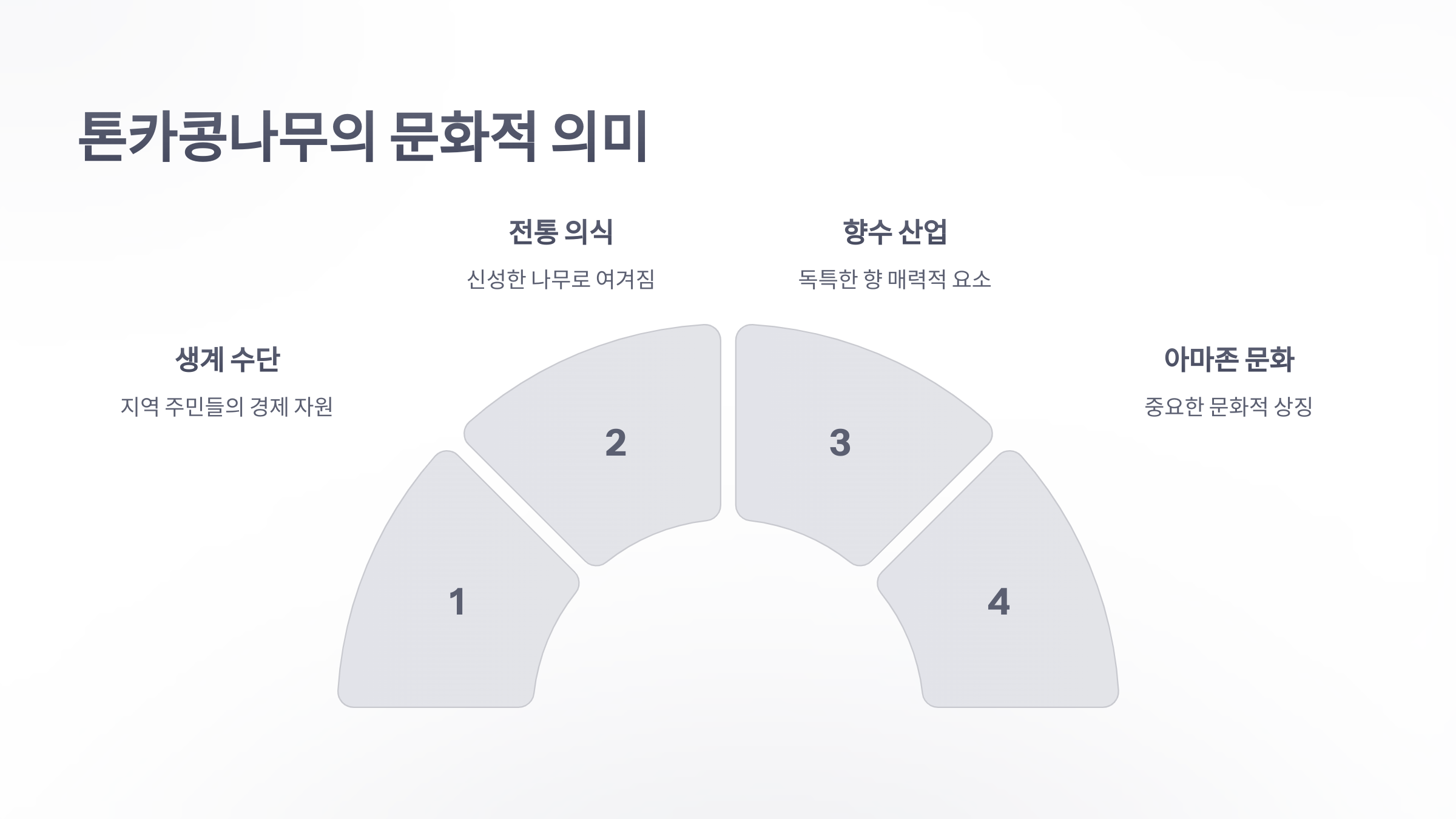 참조-아마존의-톤카콩나무-5