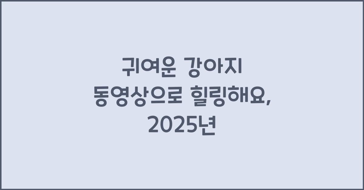 귀여운 강아지 동영상